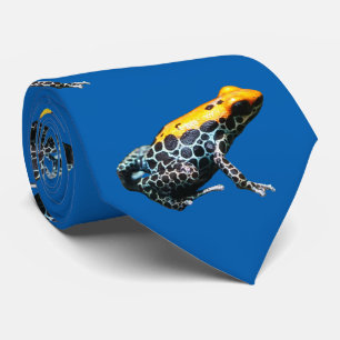 Corbata Poison Dart Frog