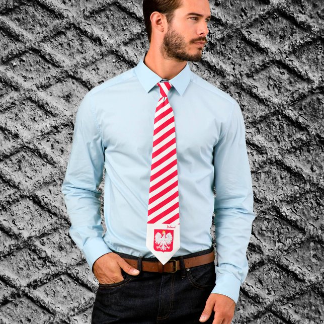 Corbata Polonia Tiro, franjas, moda comercial, bandera pol (Subido por el creador)