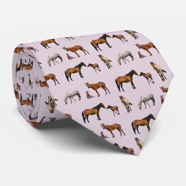 Corbata Pony Fiesta Tie (Rosa Polvoriento) (Enrollado)