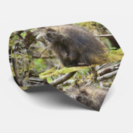 Corbata Porcupina determinada