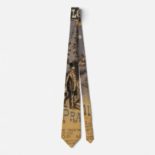 Corbata Portada de libro vintage Doctor Dunlop's Family Pr