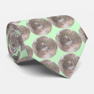 Corbata profecía de cisne