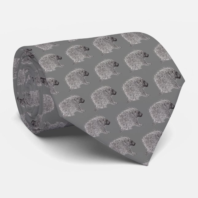 Corbata Puercoespín (Enrollado)