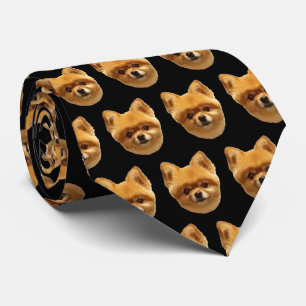 Corbata Puffy Pomeranian