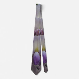 Corbata Púrpura Flor