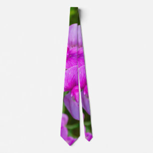 Corbata Púrpura Orquídea El Nillo De Cuello