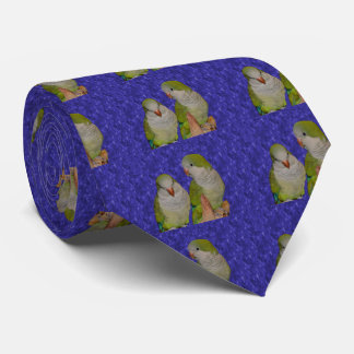 Corbata Quaker Parrot Pair Animal