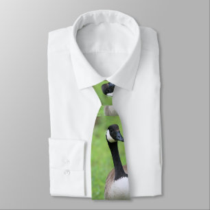 Corbata ¿Qué?