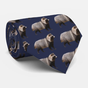 Corbata Raccoon