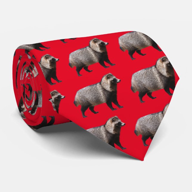 Corbata Raccoon dog (Enrollado)