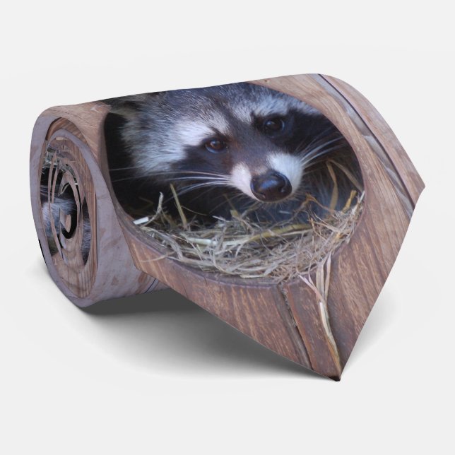 Corbata RACOON MAPACHE/foto: Jean Louis Glineur (Enrollado)