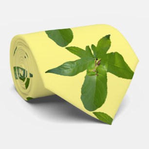 Corbata Rana De Árbol Verde Sobre Hojas, Nata De Cuello