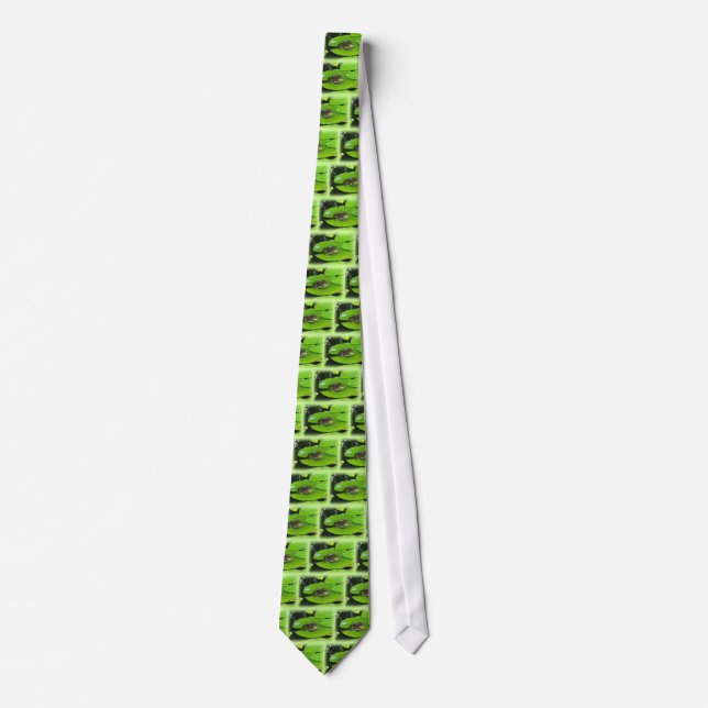 Corbata Rana toro en Lilypads (Anverso)