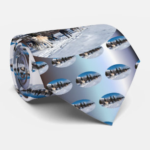 Corbata Raza fornida del trineo del perro de Alaska
