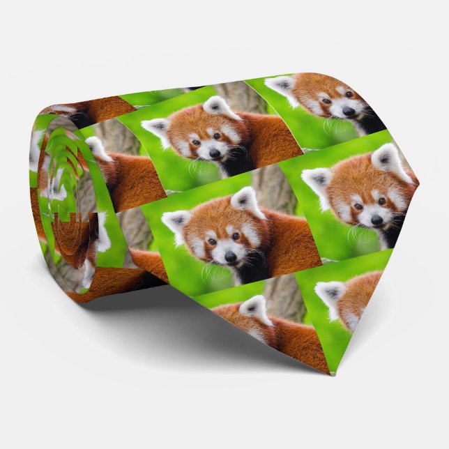 Corbata Red Panda (Enrollado)