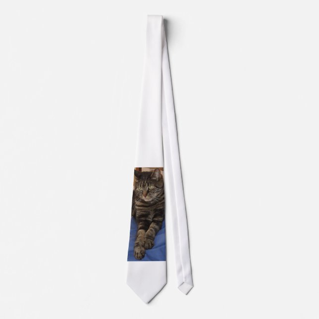 Corbata Regal Dave Men's Tie (Anverso)