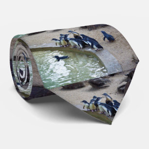 Corbata Relé de pingüino: equipo de natación de rebaño de 