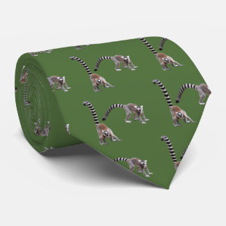 Corbata Ring-tailed lemur