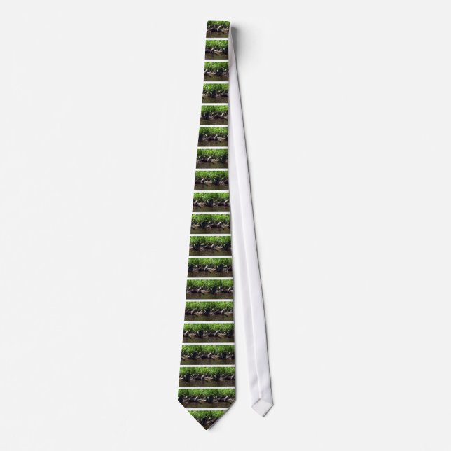 Corbata Río Otter-verano (Anverso)