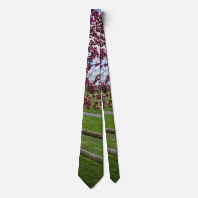 Corbata Rivercut En El Nillo De Cuello De Primavera (Anverso)