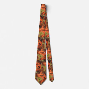 Corbata Roca bonita