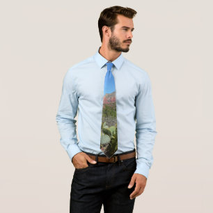 Corbata Rocas rojas y cactus I