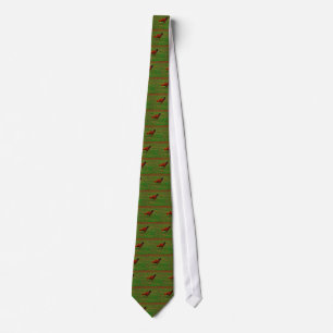 Corbata Rooster en la hierba