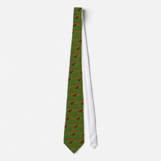 Corbata Rooster en la hierba