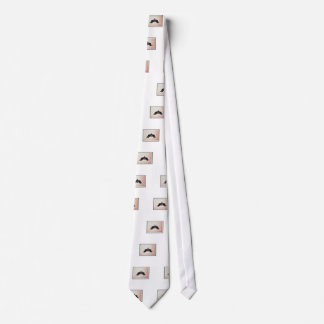 Corbata Rors Five Fractal