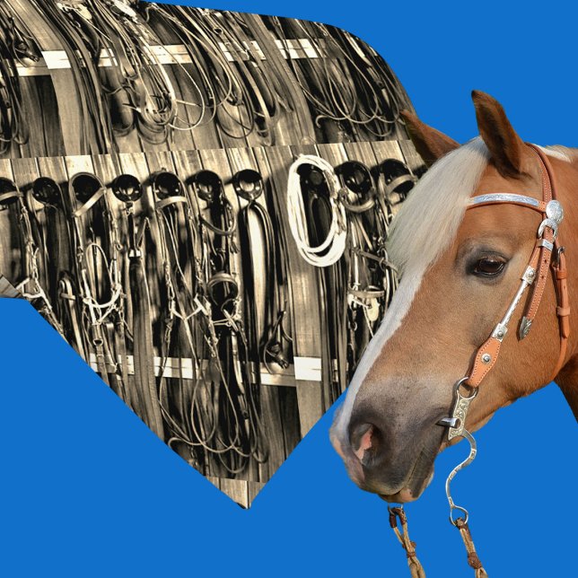 Corbata Sala De Tack Occidental Brillos Rope Impresión Nec (Western necktie with tack room bridles and rope)