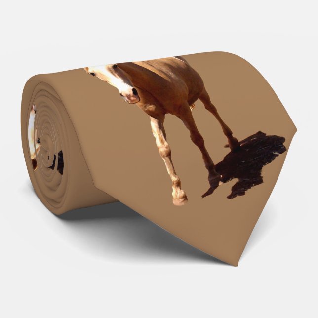 Corbata Saludo a Caballo de Palomino, (Enrollado)