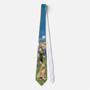 Corbata San Francisco - Retriever dorado