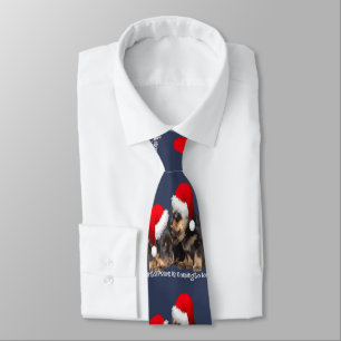 Corbata Santa Paws viene a la ciudad Cute Rottweiler Navid