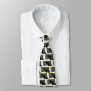 Corbata Sea lions animal fashion