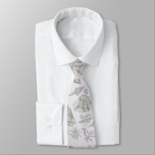 Corbata Seashell Soft Art Beach Shell