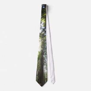 Corbata Secoyas
