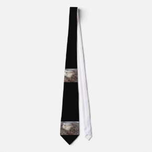 Corbata Sello elefante joven