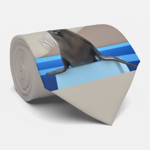 Corbata Sello (león marino de California)