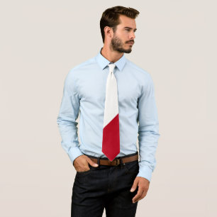 Corbata Sencillo recuerdo moderno de la bandera de Polonia