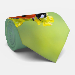 Corbata señora de arriba