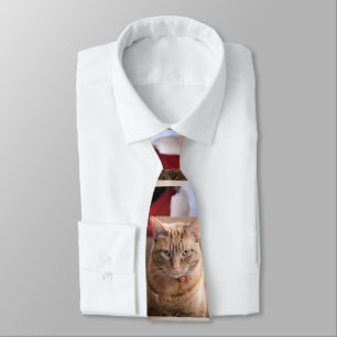 Corbata Serio