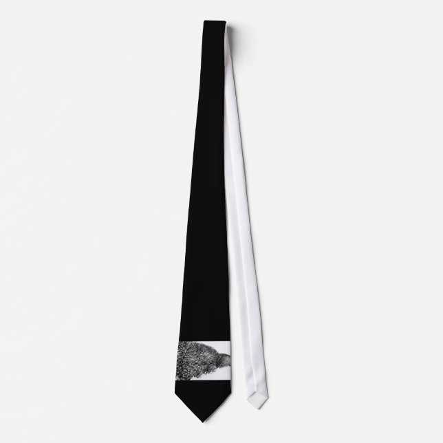 Corbata seto de invierno (Anverso)