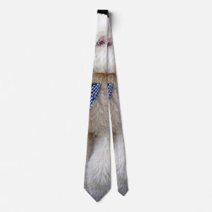 Corbata Sheepadoodle con bufanda azul a cuadros