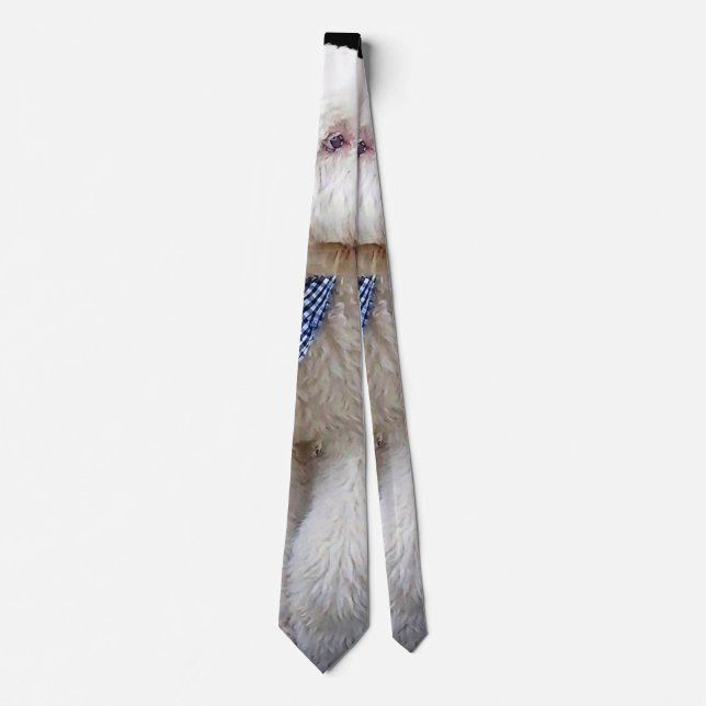 Corbata Sheepadoodle con bufanda azul a cuadros (Anverso)