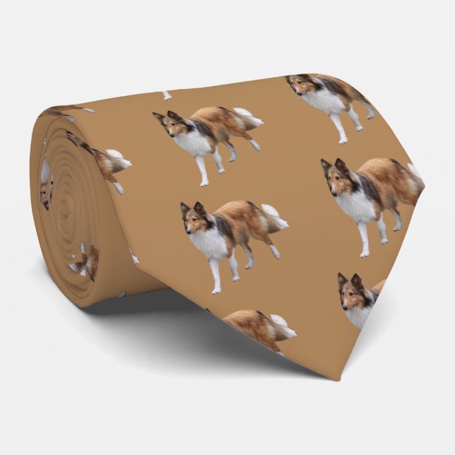 Corbata Shetland Sheepdog (Enrollado)