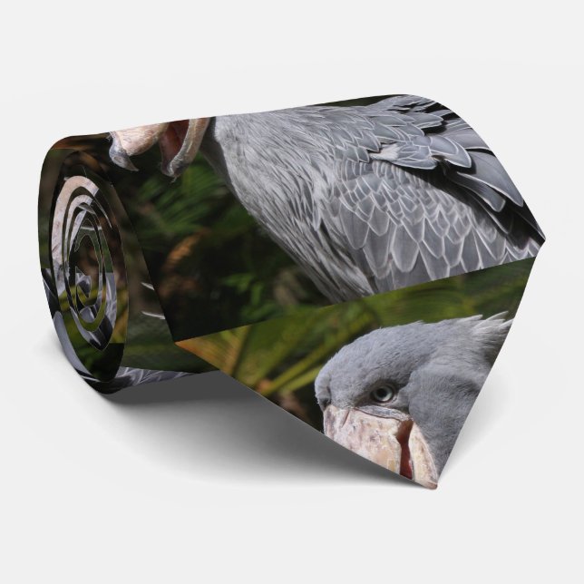 Corbata Shobill (Enrollado)