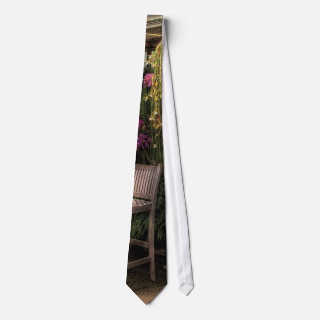 Corbata Silla - La Silla (Anverso)