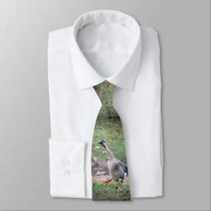 Corbata Silly goose