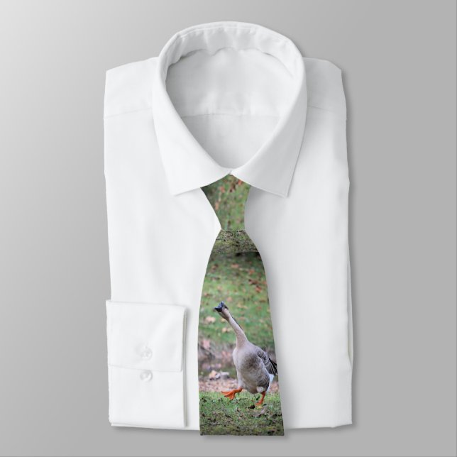 Corbata Silly goose (Atado)