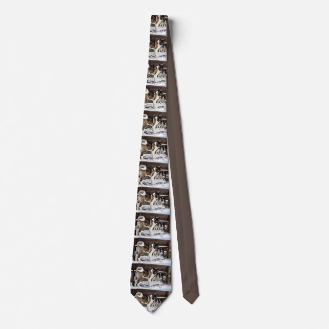 Corbata sobre negro marrón akita lleno (Anverso)